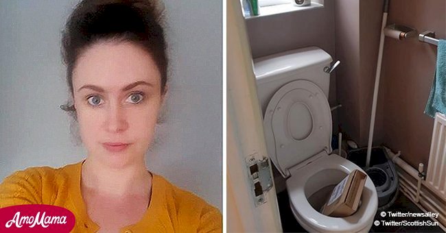 Mom finds Amazon parcel delivered into her toilet