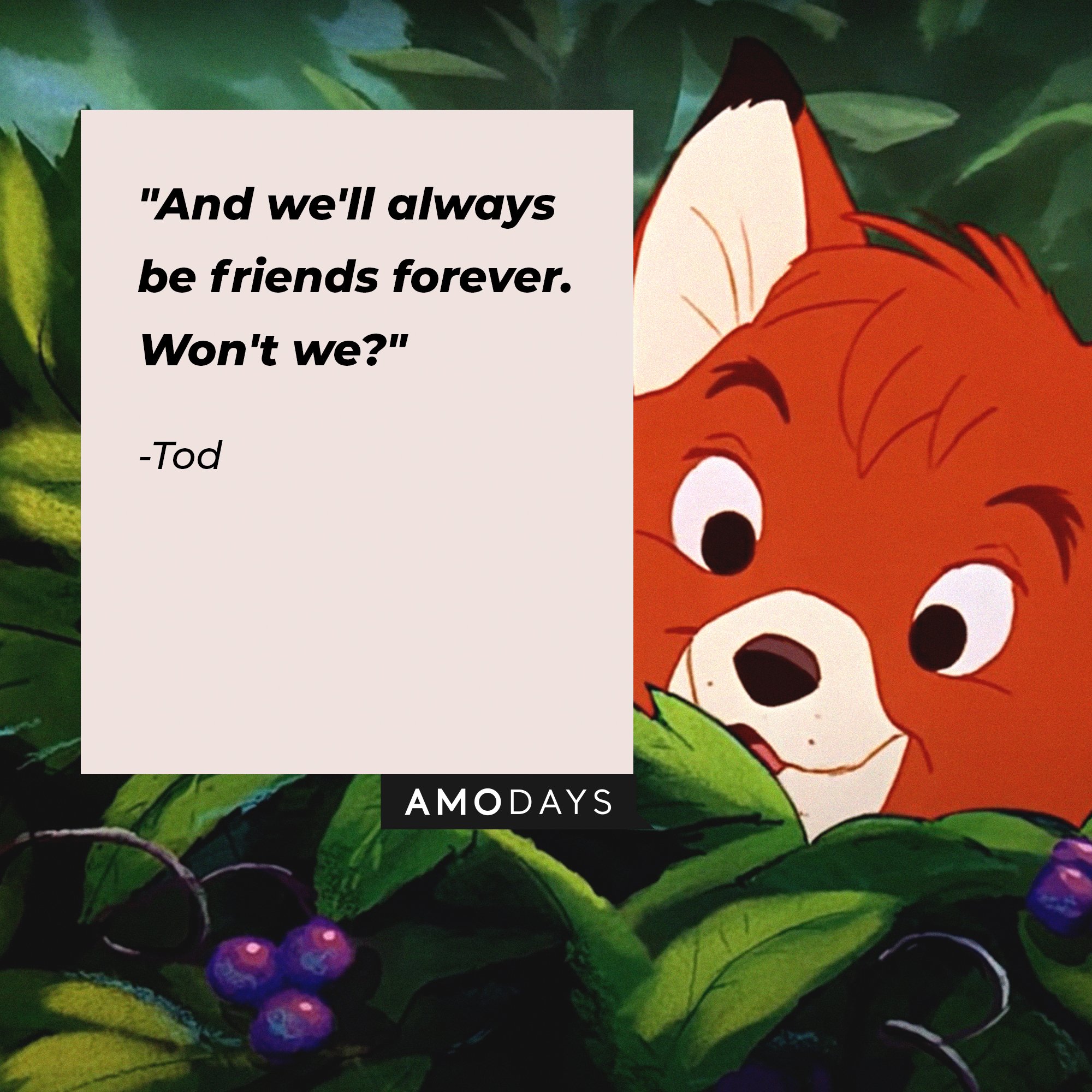 Tod’s quote: "And we'll always be friends forever. Won't we?" | Image: AmoDays