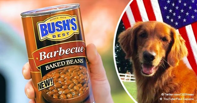  'Bush's Baked Beans' dog who played Duke in commercials has died