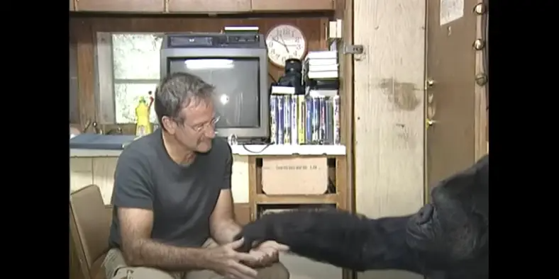 Robin Williams with Koko the gorilla in 2001. | Source: YouTube/kokoflix