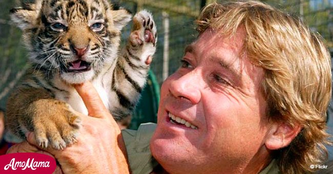 Distressing details surrounding Steve Irwin's tragic death