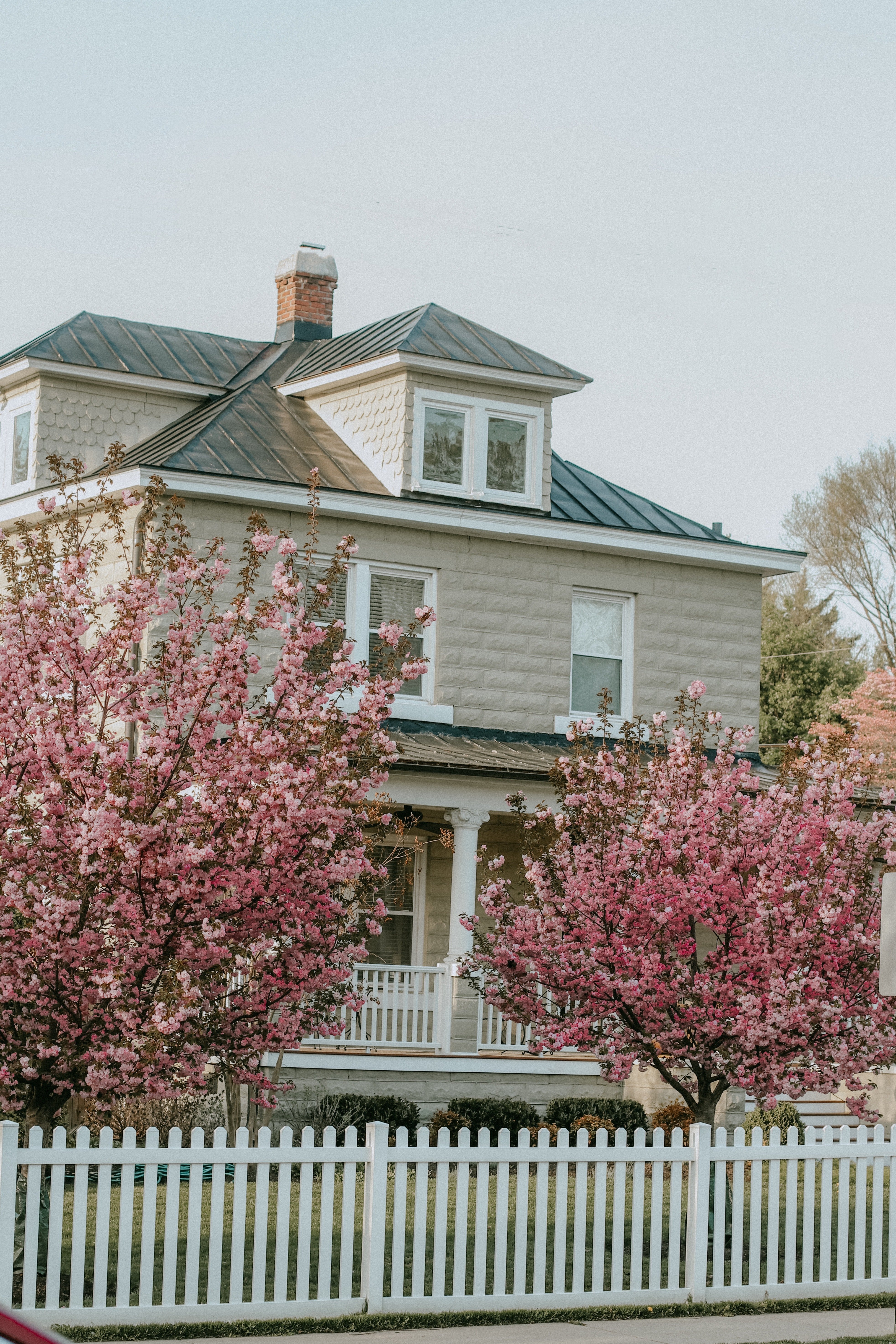 Back in Virginia—such a lovely place compared to Eastern Europe | Source: Pexels