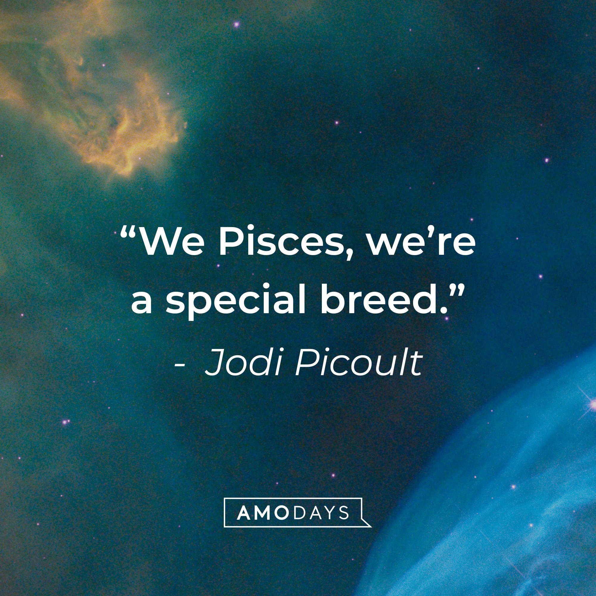 Jodi Picoult's quote: "We Pisces, we're a special breed." | Image: AmoDays