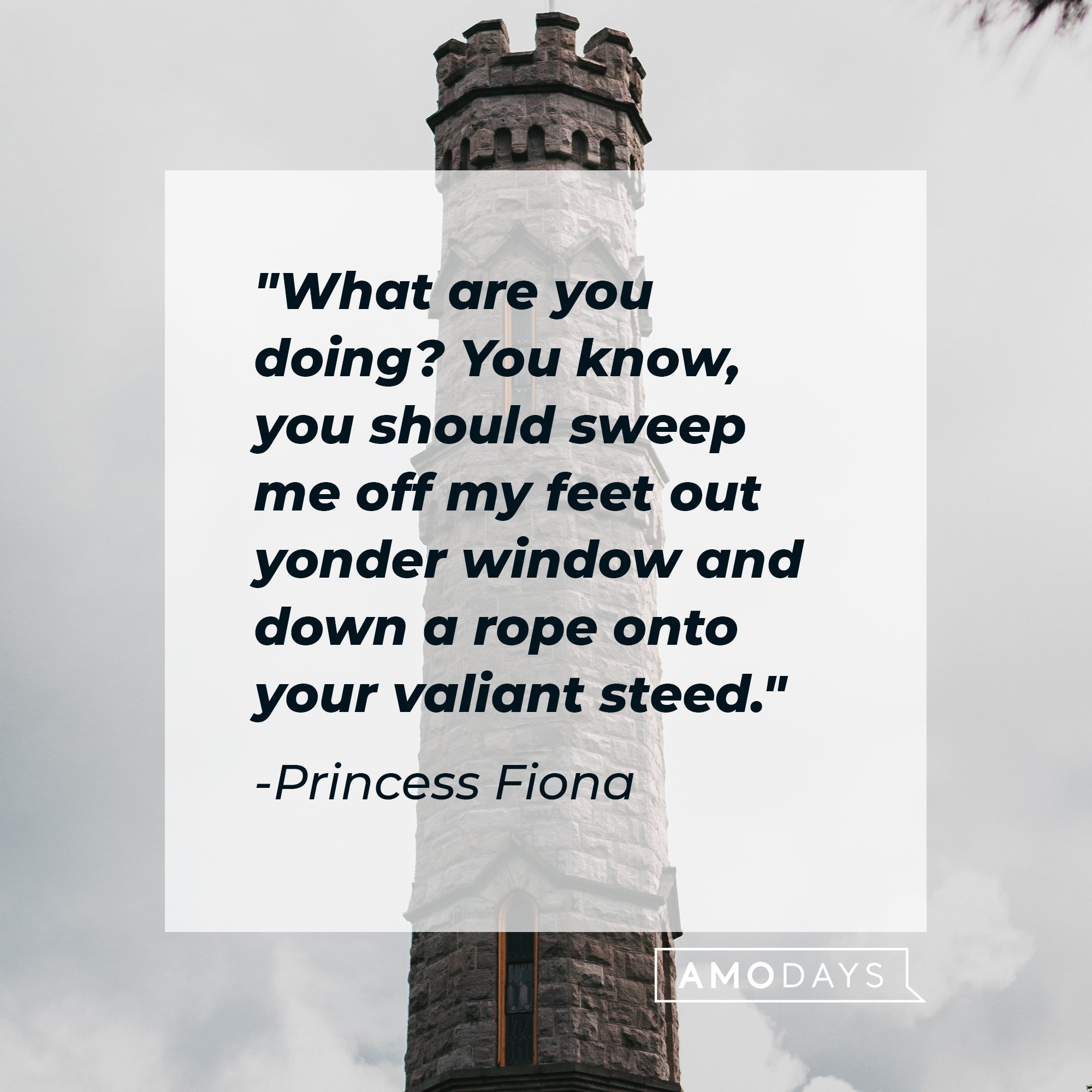 Princess Fiona's quote: "What are you doing? You know, you should sweep me off my feet out yonder window and down a rope onto your valiant steed." | Image: AmoDays