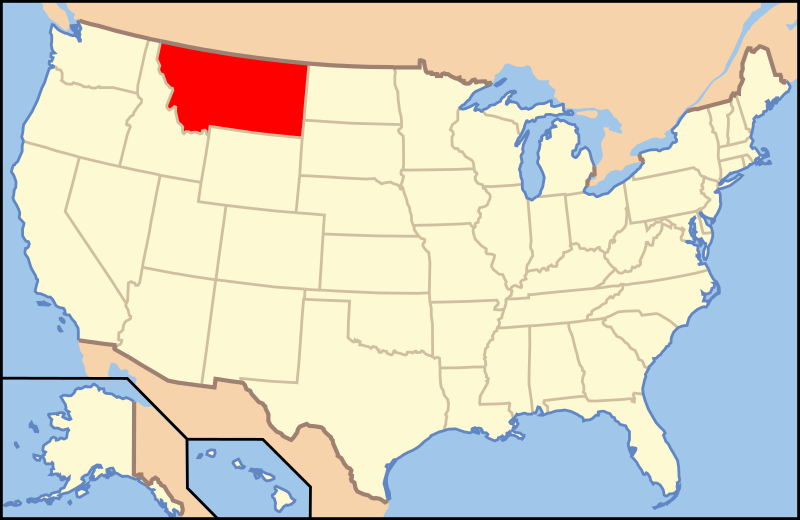 Image Credit: Wikipedia Image Credit: Wikipedia