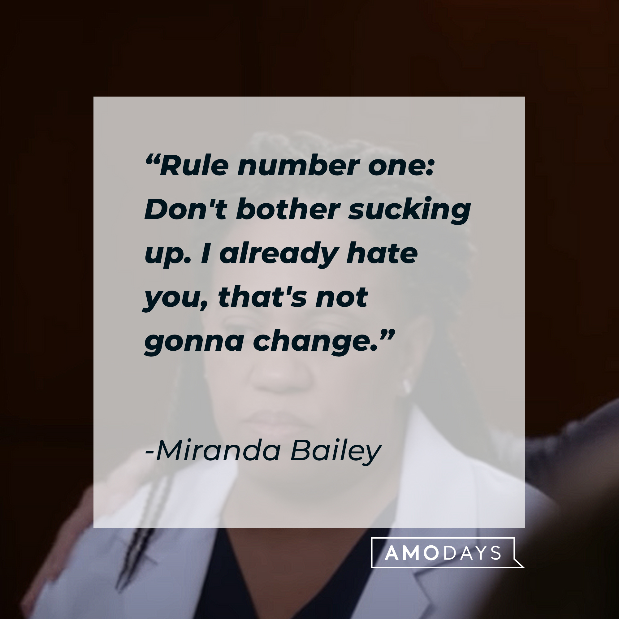 Miranda Bailey's quote: "Rule number one: Don't bother sucking up. I already hate you, that's not gonna change." | Source: youtube.com/ABCNetwork