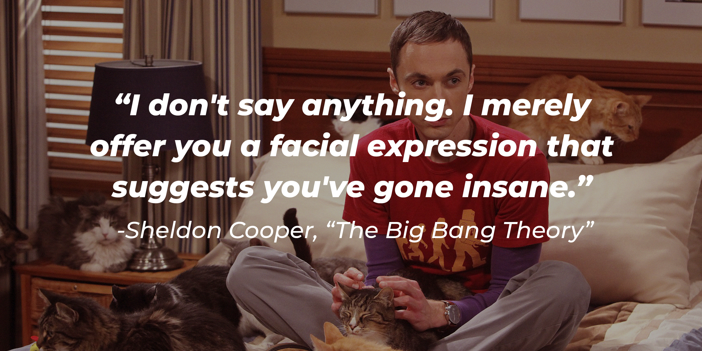 Sheldon Cooper's quote from "The Big Bang Theory": "I don't say anything. I merely offer you a facial expression that suggests you've gone insane." | Source: facebook.com/TheBigBangTheory