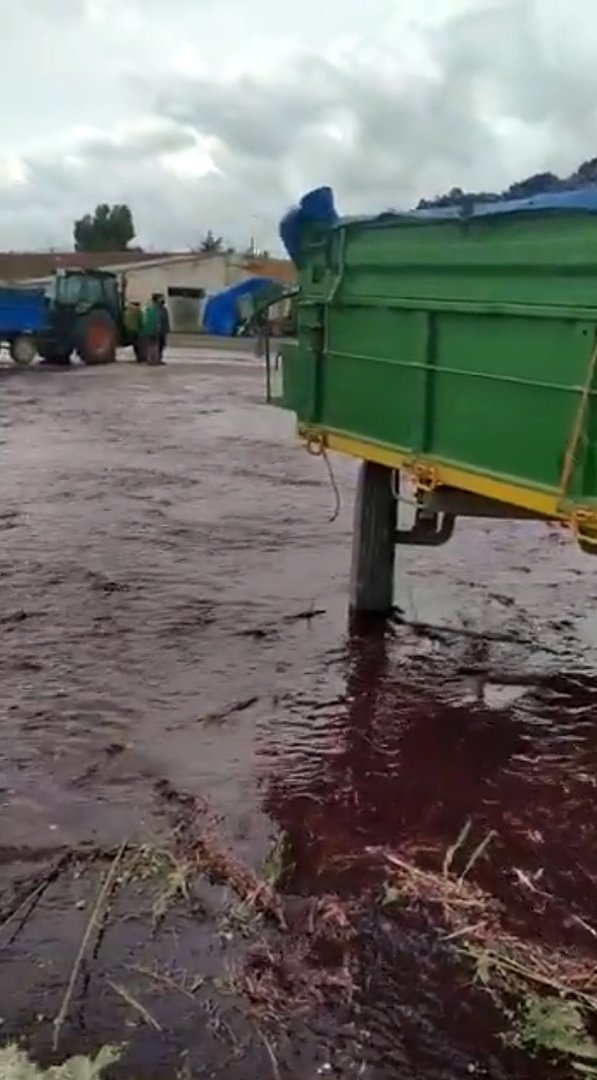 50,000 liters of red wine flooding the area after the bursting of a tank owned by Vitivinos winery in Albacete Spain | Photo: Twitter/Radio Albacete