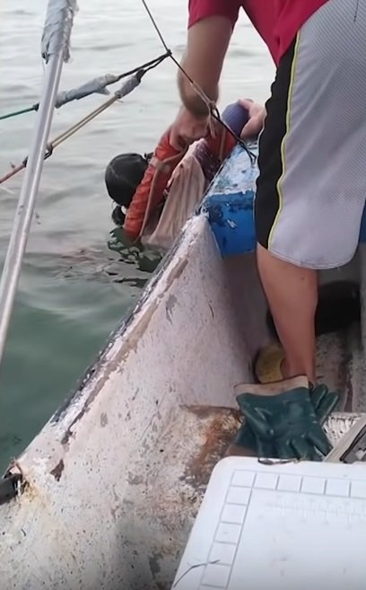 Vermisste Frau treibt auf dem Meer vor ihrer Rettung und wird ins Boot gezogen | Quelle: YouTube/The Independent