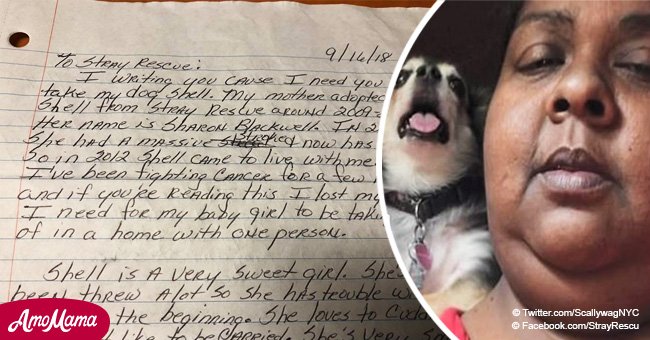 Cancer-stricken woman leaves her dog at an animal shelter with a heartbreaking note
