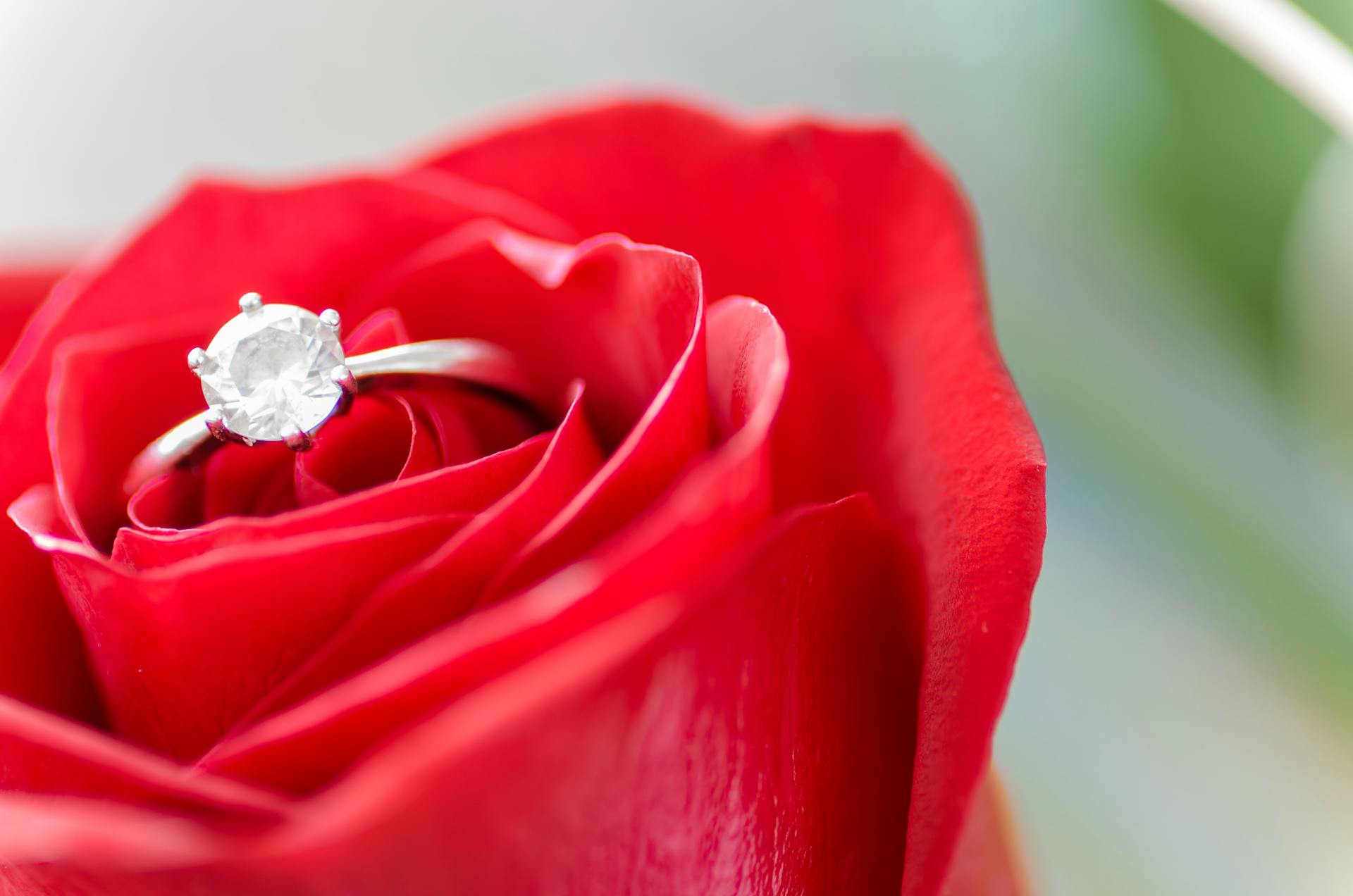 An engagement ring nestled in a rose | Source: Pexels