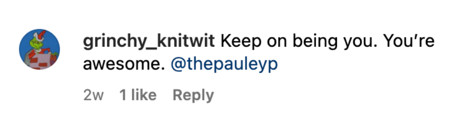 A fan's comment on Pauley Perrette's Instagram post on July 24, 2023 | Source: Instagram/thepauleyp