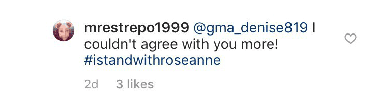 Screenshot from the comments from social media. | Source: Instagram.com/Officialroseannebarr