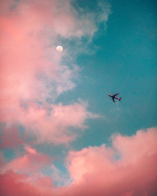 Flying away | Source: Pexels