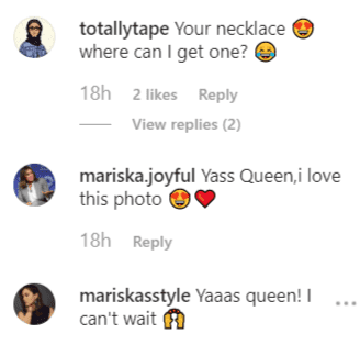 Fan comments on Mariska's two Instagram posts | Instagram: @therealmariskahargitay
