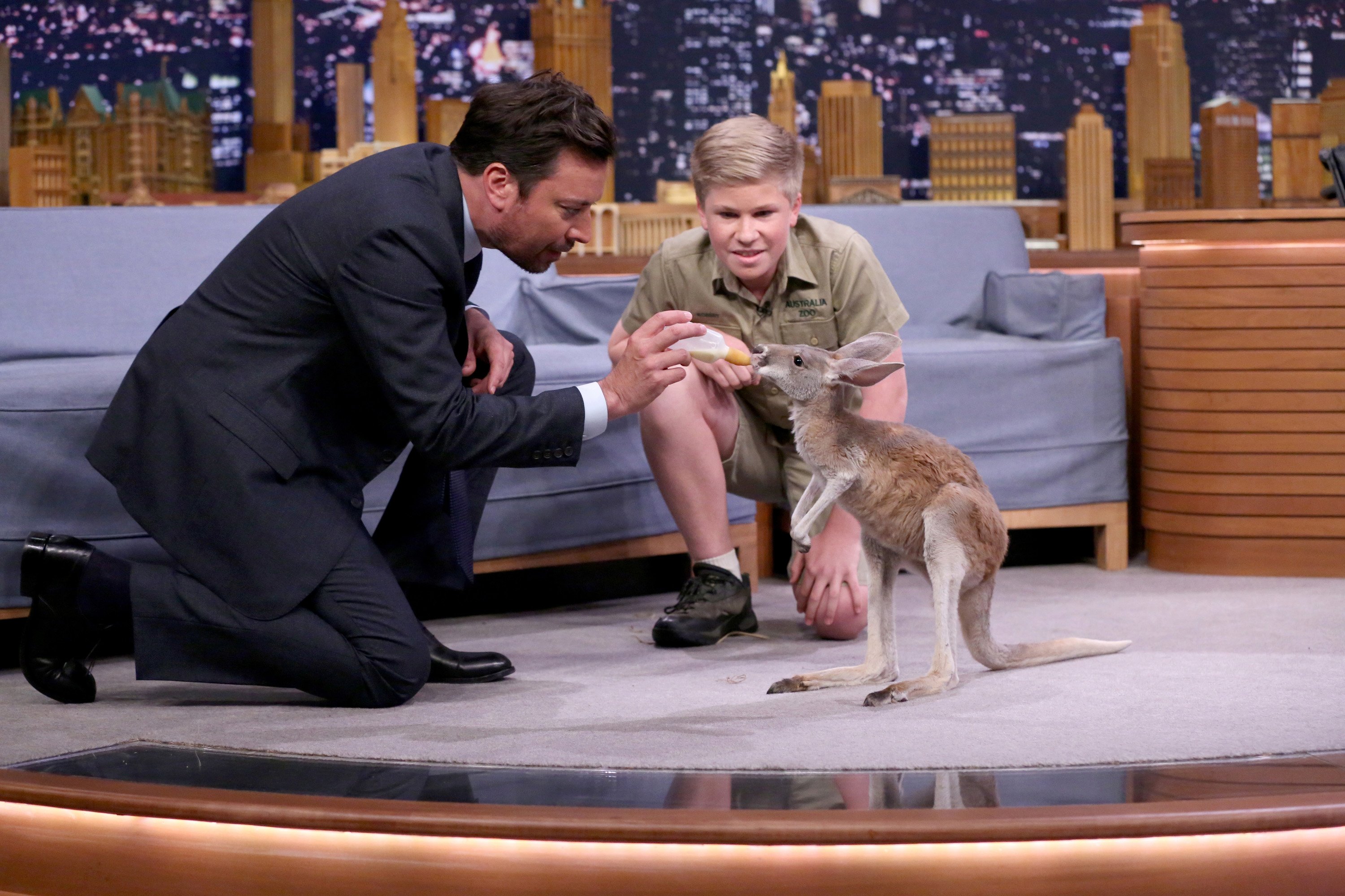 Animal expert Robert Irwin with host Jimmy Fallon during an interview with on June 7, 2017| Photo: Getty images