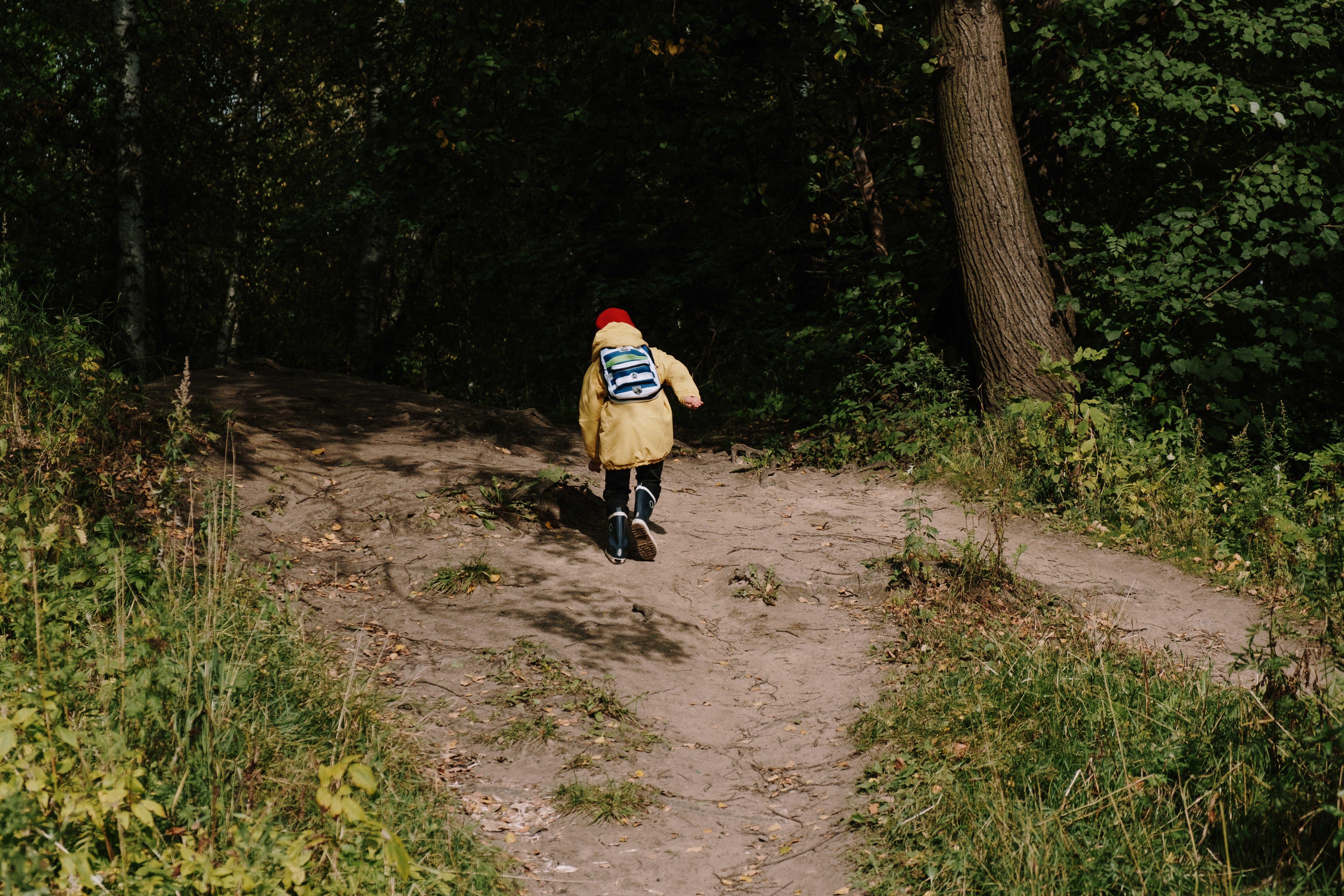Nachdem er Mike gesehen hatte, rannte der kleine Junge in den Wald und verschwand. | Quelle: Pexels