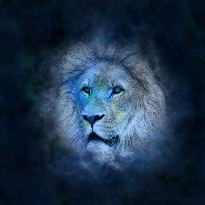 Signo de Leo. | Foto: Pixabay Signo de Leo. | Foto: Pixabay