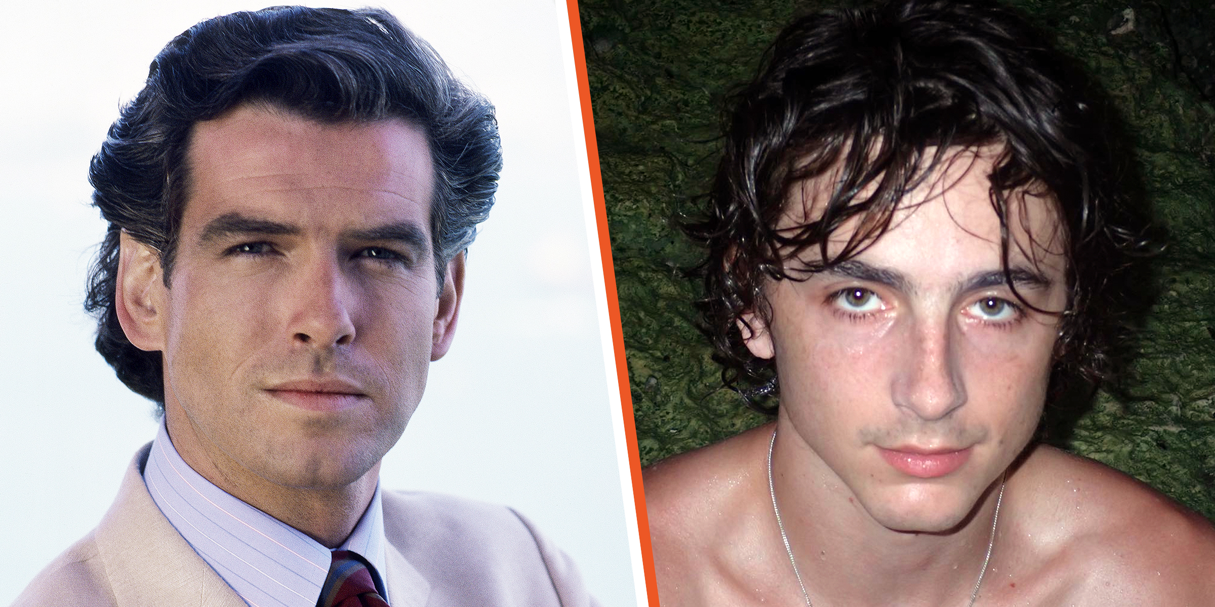 Pierce Brosnan [Left], Timothy Chalamet [Right] | Source: Getty Images