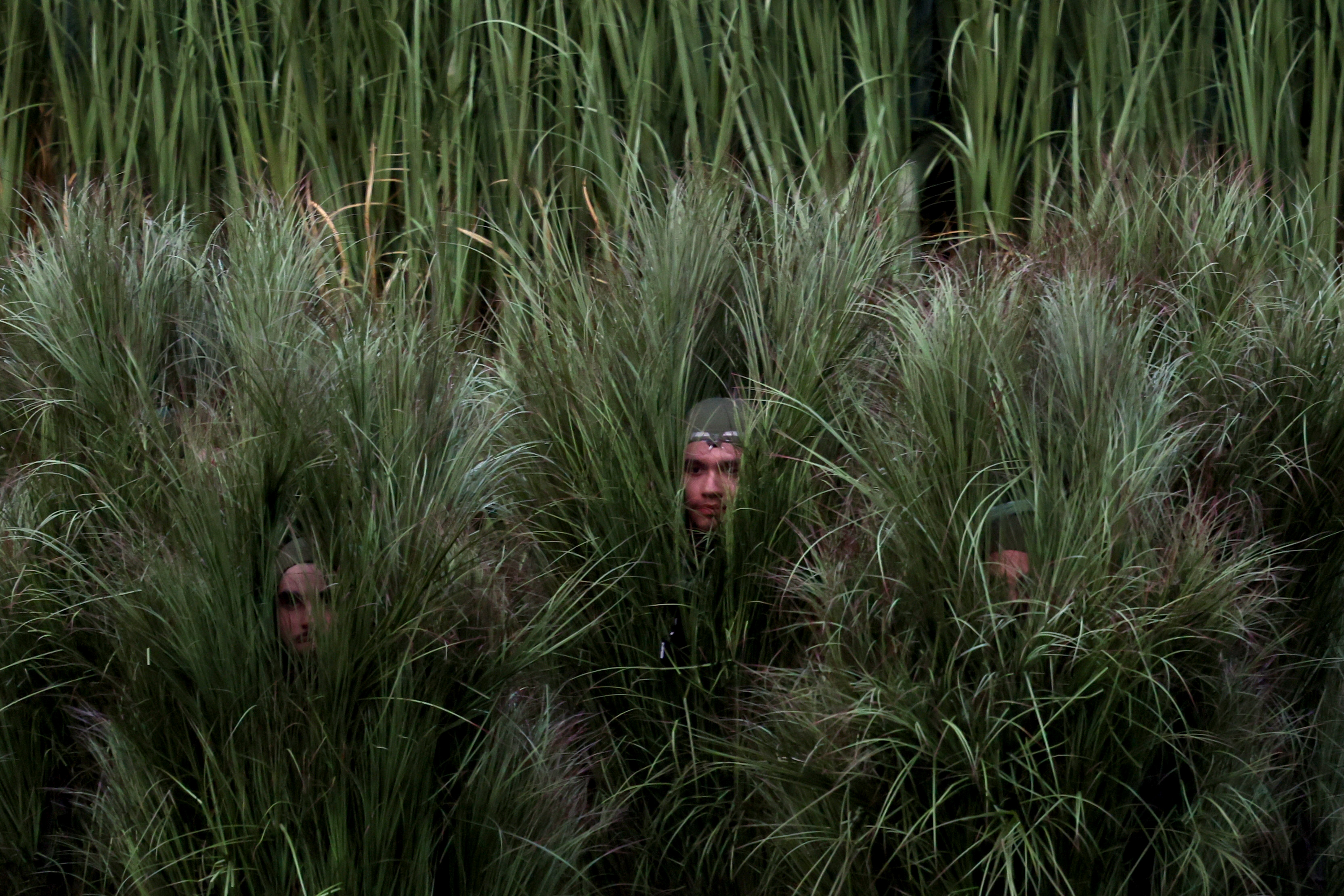 A few performers dressed as grass seen during Bad Bunny's Super Bowl Halftime Show performance. | Source: Getty Images