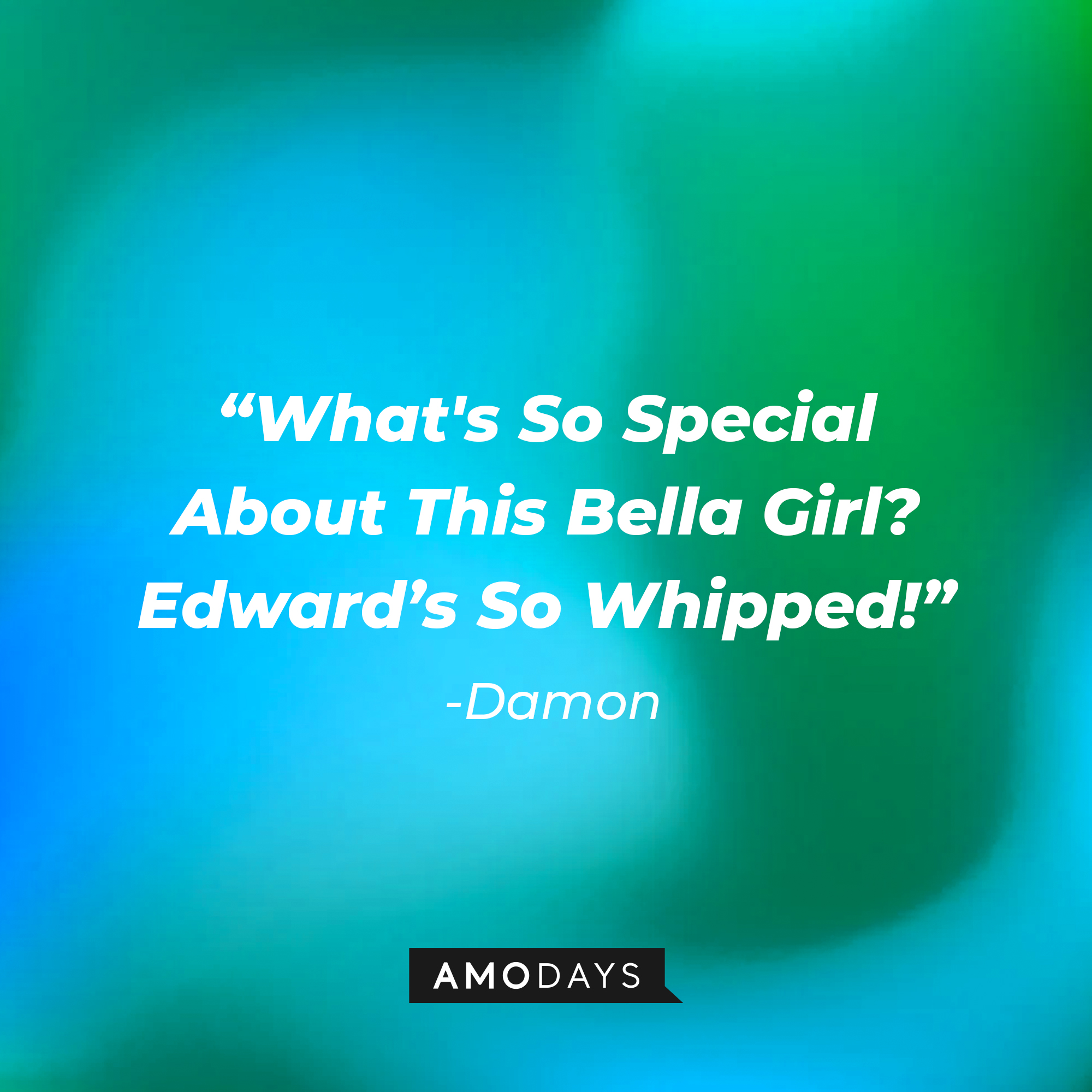 Damon's quote: "What's So Special About This Bella Girl? Edward's So Whipped!" | Source: Amodays