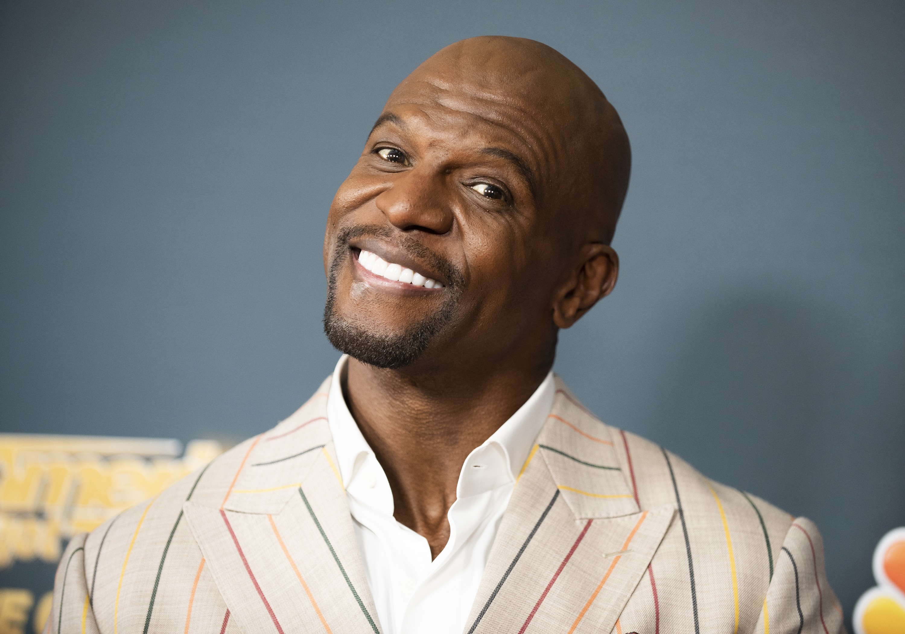 Terry Crews at the premiere of NBC's "America's Got Talent: The Champions" Season 2 on October 10, 2019 in Pasadena, California | Source: Getty Images