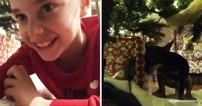 Boy tries to catch Santa on video, but his dog makes him a hilarious surprise (Video)