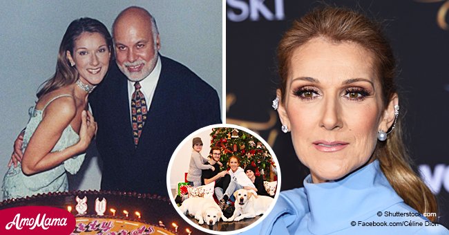 Céline Dion est une fière maman de 3 merveilleux fils -- rencontrez-les tous