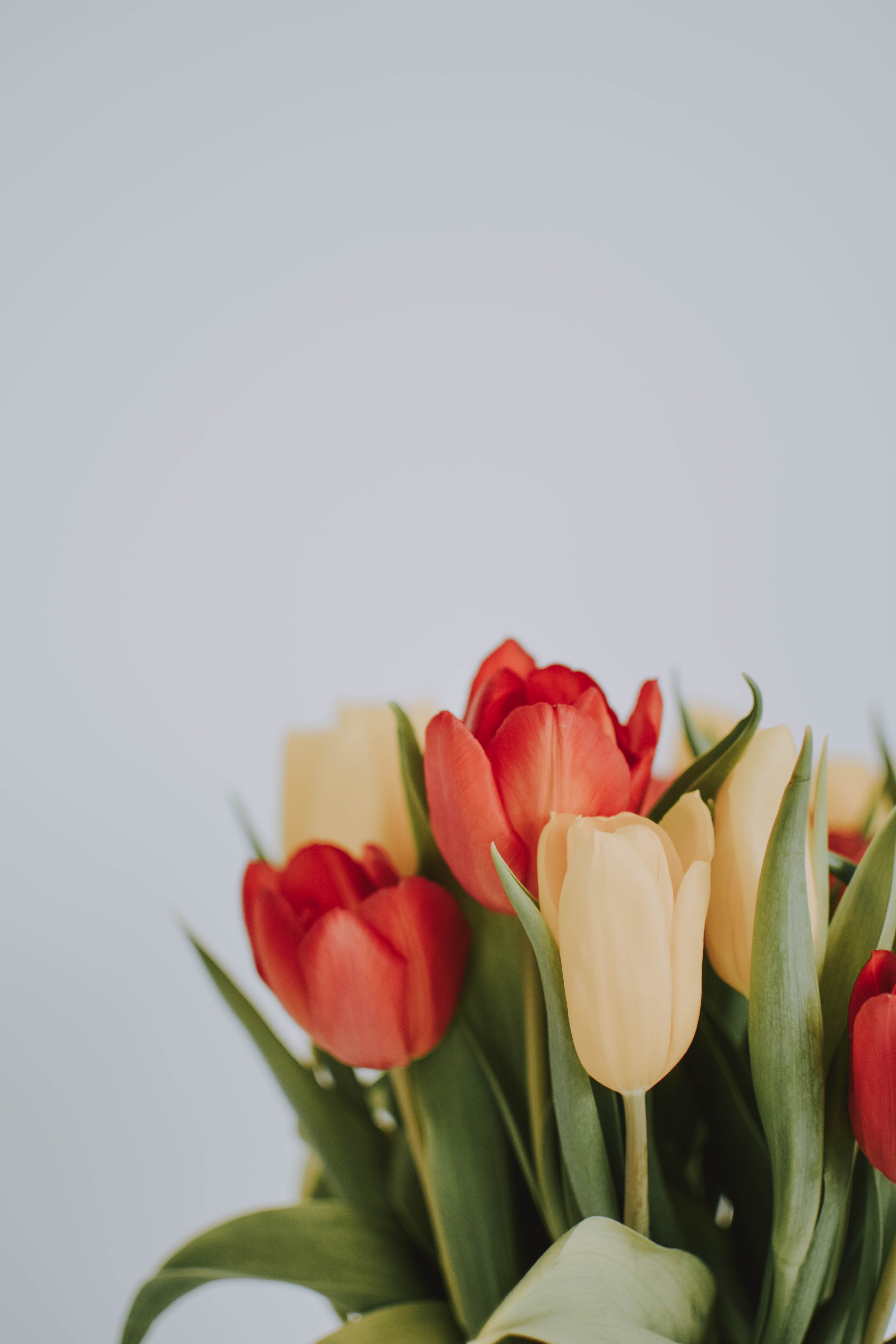 The woman returned to the grave with a bouquet of flowers, where she and Jane finally got to talk. | Source: Pexels
