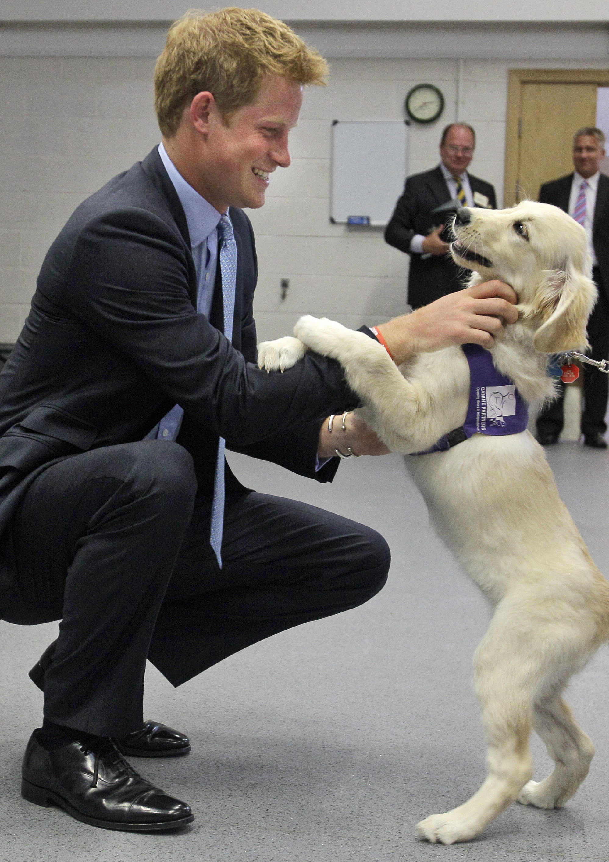 Prince Harry meets Trudy, a Golden Retriever puppy in 2010. | Source: Getty Images