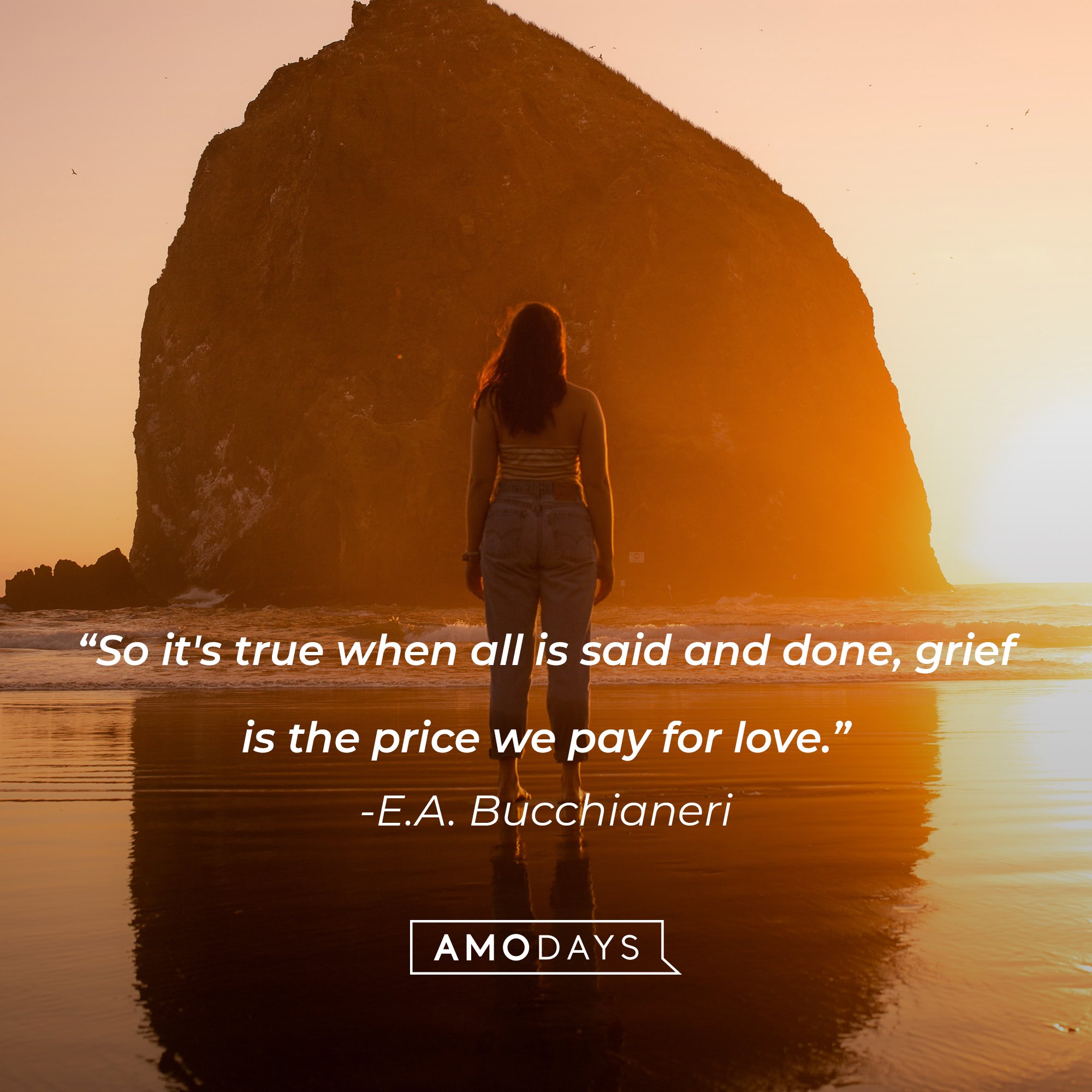 E.A. Bucchianeri’s quote: "So it's true when all is said and done, grief is the price we pay for love." | Image: AmoDays
