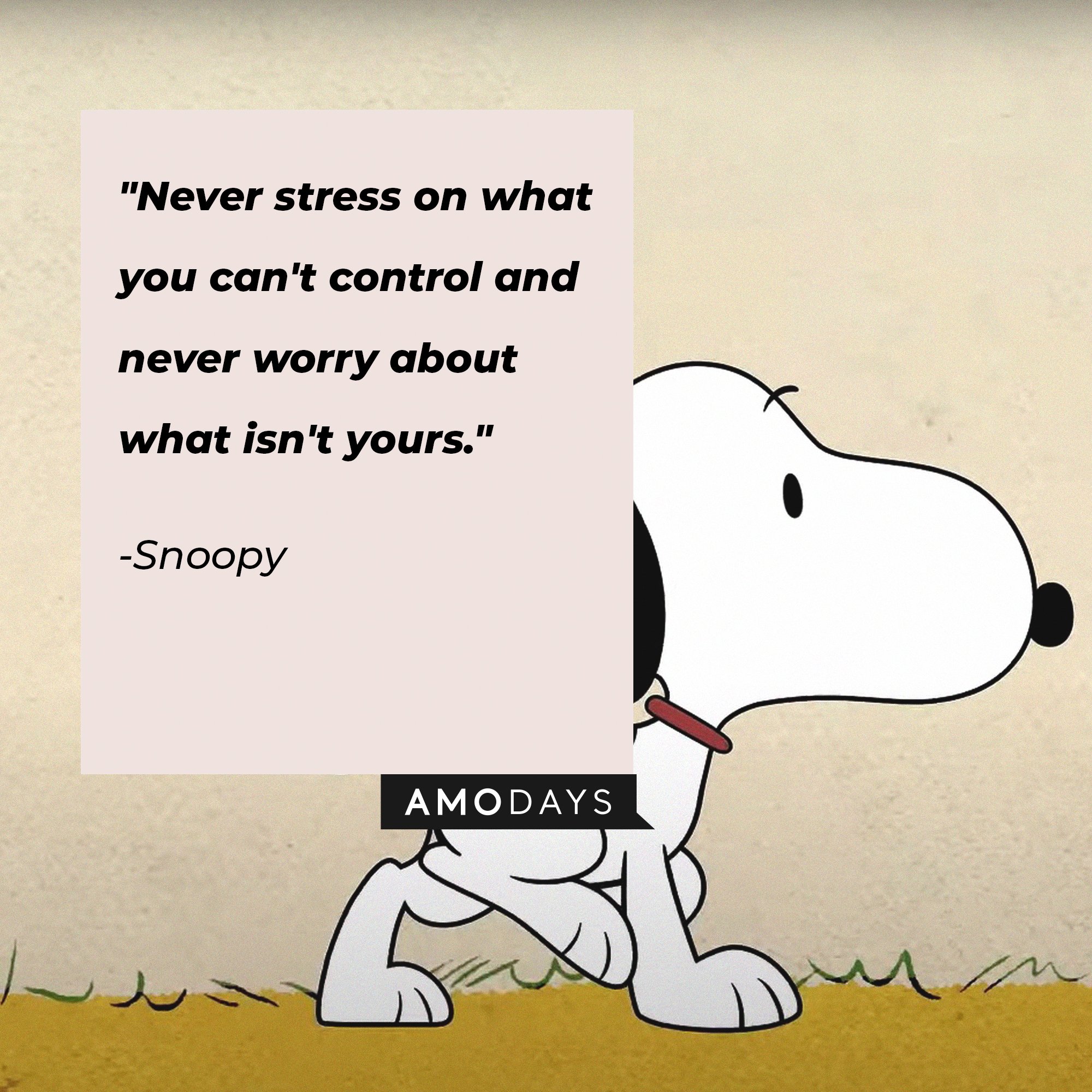 Snoopy’s quote: "Never stress on what you can't control and never worry about what isn't yours." | Image: AmoDays