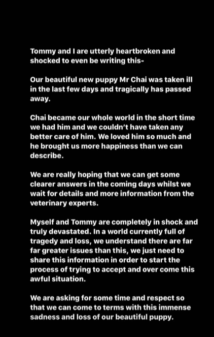 Story Instagram de MOLLY-MAE. | Photo : Instagram Story Instagram de MOLLY-MAE. | Photo : Instagram