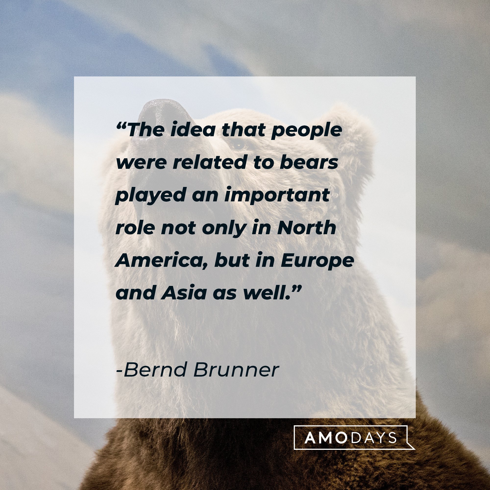 Bernd Brunner’s quote: "The idea that people were related to bears played an important role not only in North America but in Europe and Asia as well." | Image: AmoDays