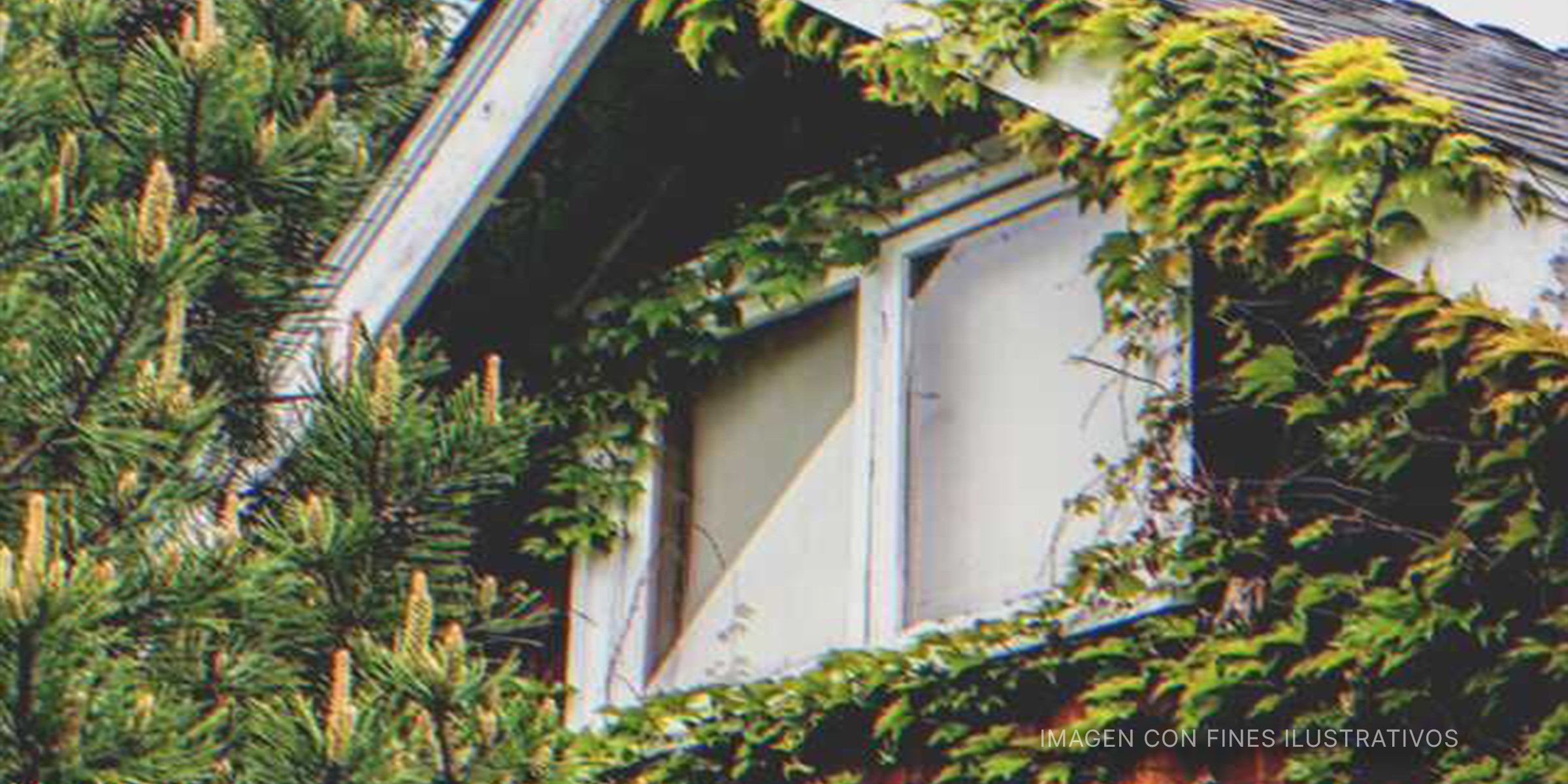 Fachada de una casa con plantas | Foto: Flickr/marneejill (CC BY-SA 2.0)