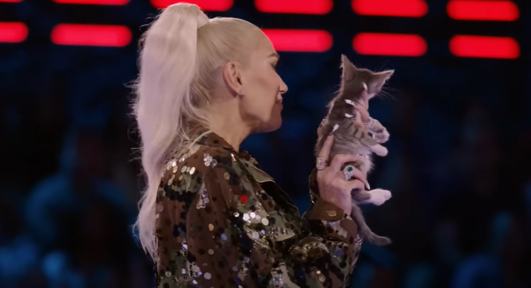 Gwen Stefani shows a kitten to Sydney Sterlace after her performance on 