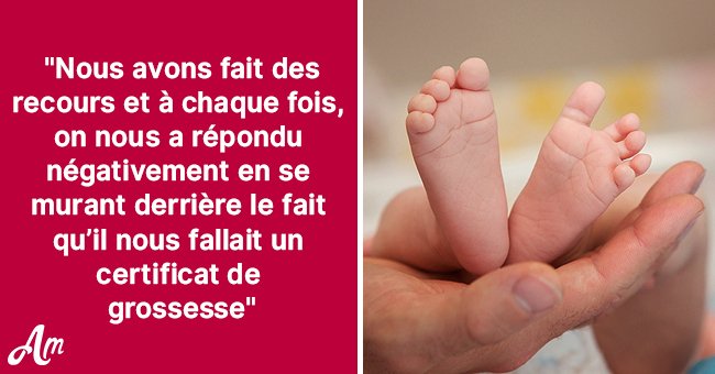 Une bataille pour le petit| Photo : Getty Images