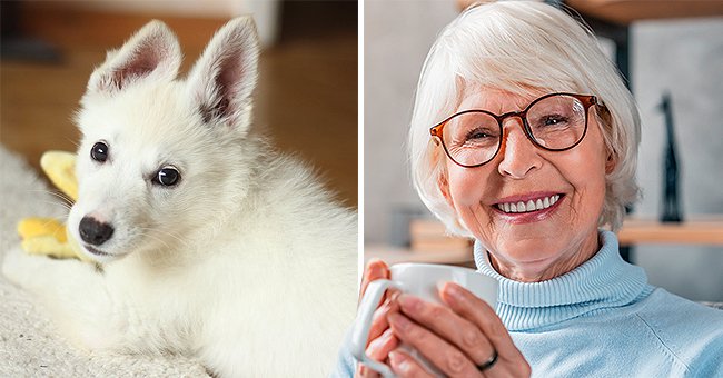 shutterstock   pexels.com/Daniel Bendig