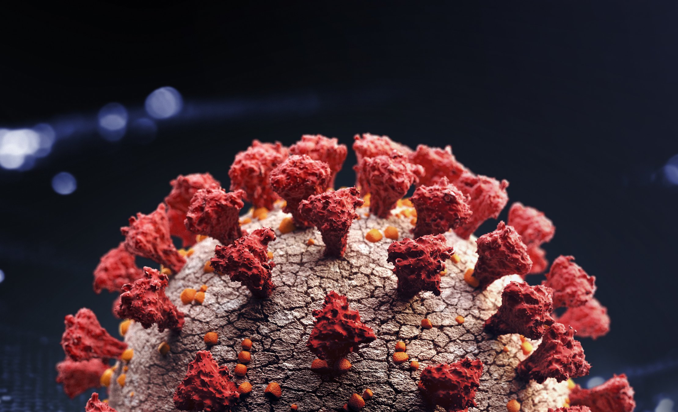 Corona virus close up | Photo: Getty Images