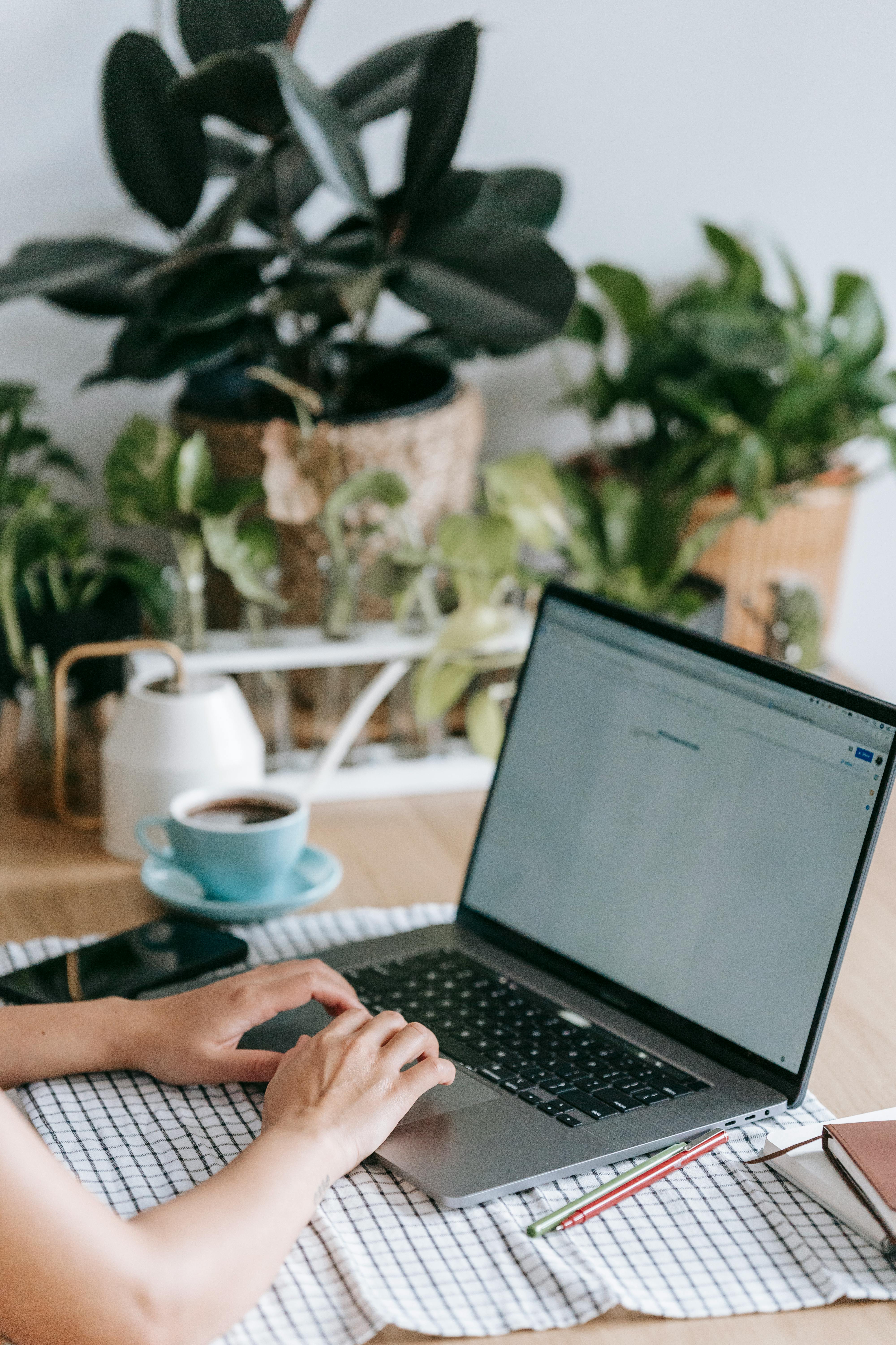 A person typing on laptop | Source: Pexels