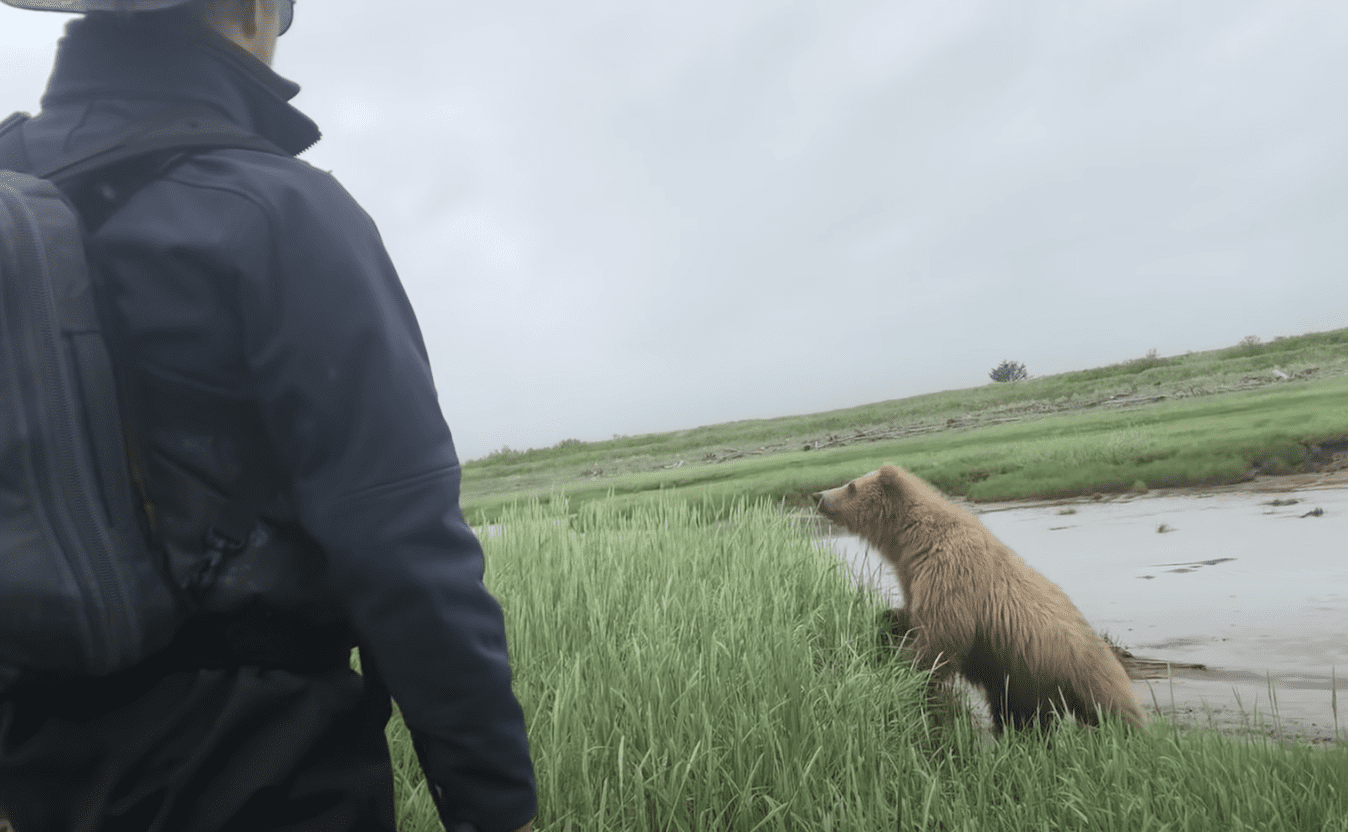 Bear slowly approaches a group of people exploring the area | Photo: Youtube/The Bear Necessities