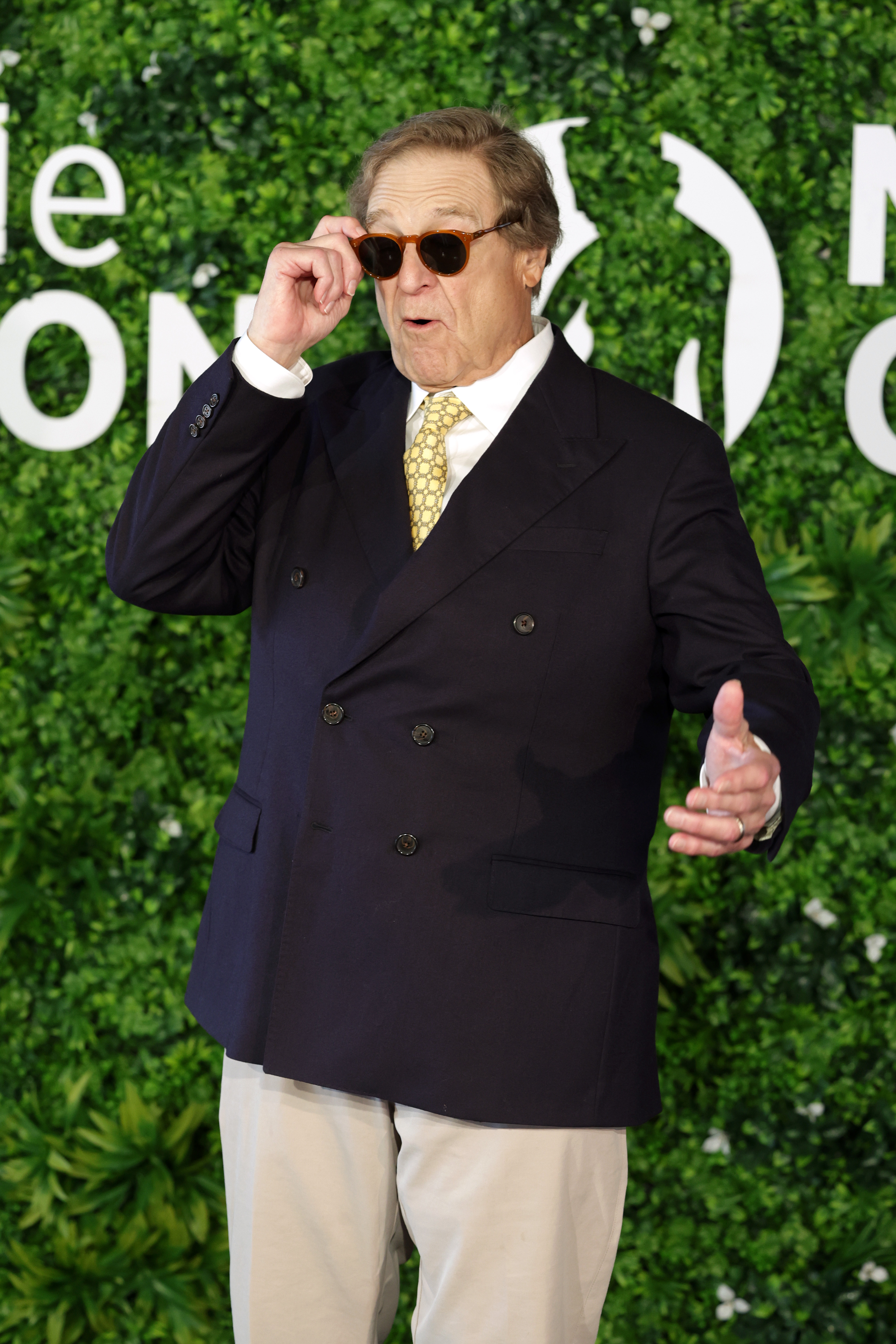 Goodman attends the "John Goodman" at  62nd Monte Carlo TV Festival in 2023 | Source: Getty Images