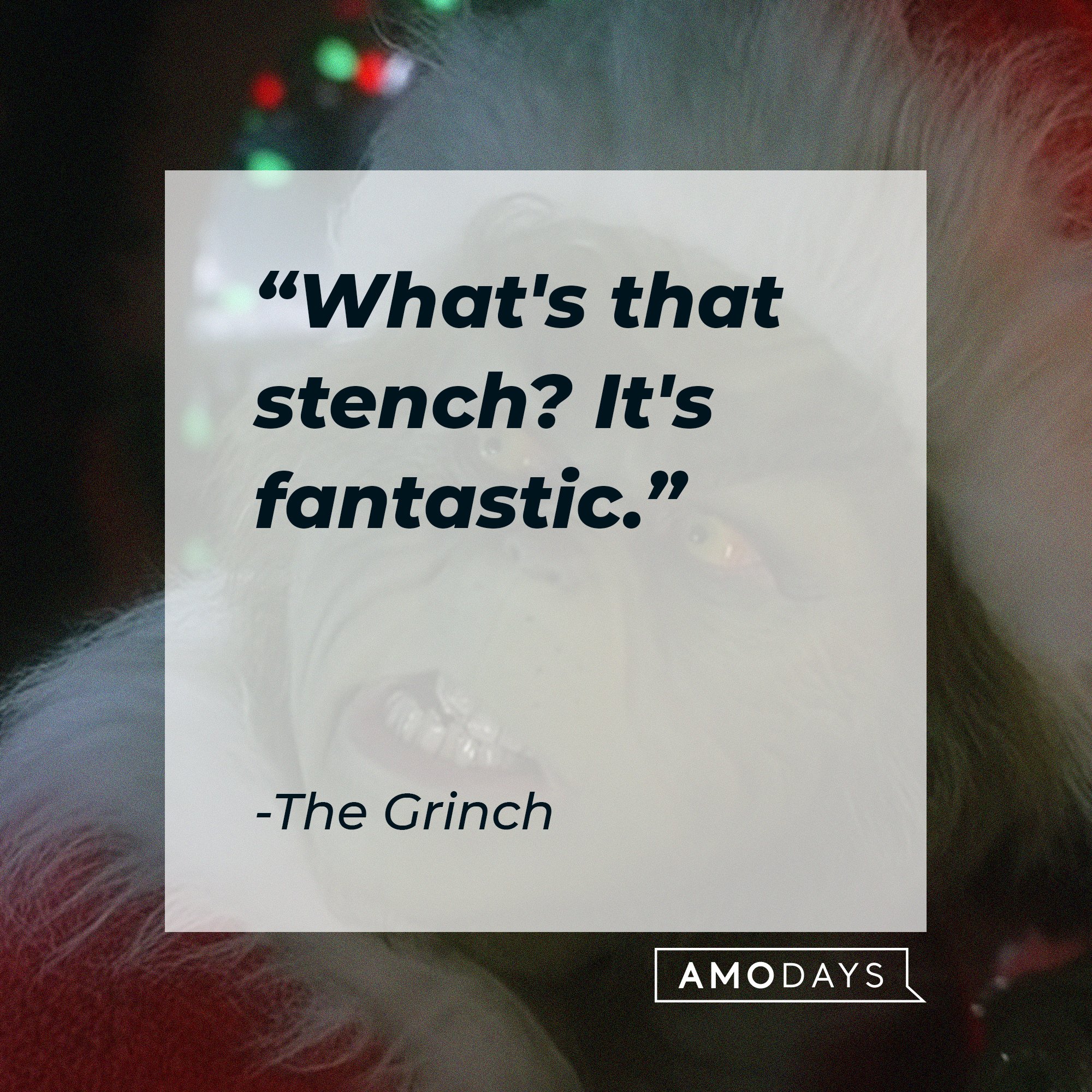 The Grinch's quote:"What's that stench? It's fantastic." | Image: AmoDays