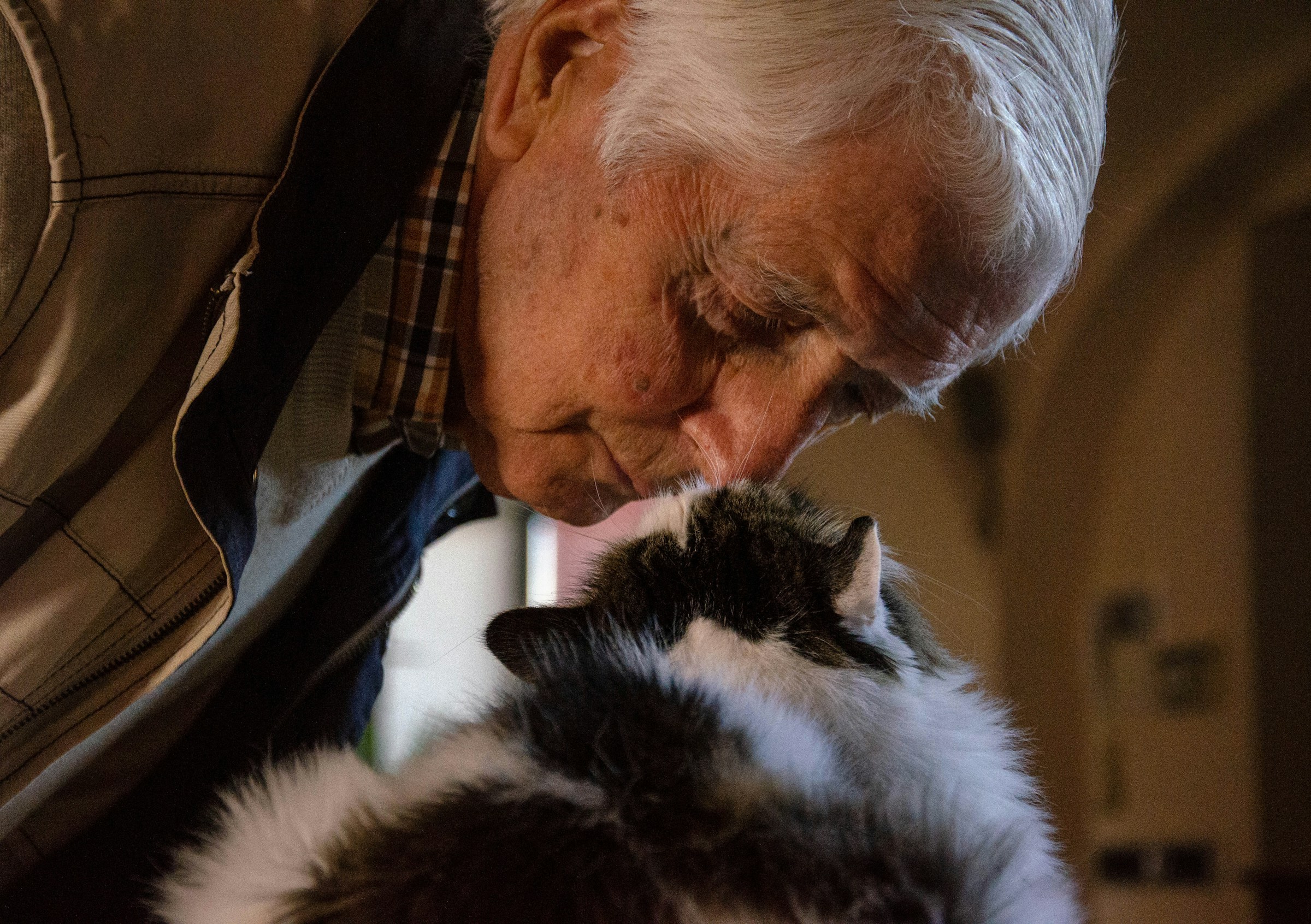 An old man with a cat | Source: Unsplash