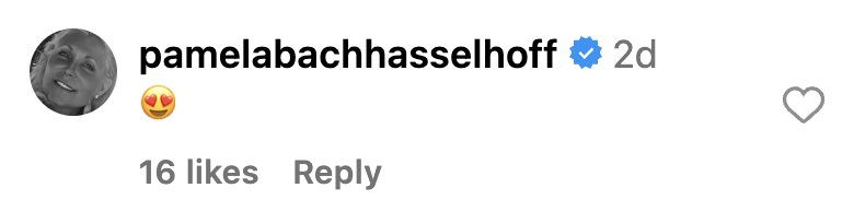 Pamela Bach-Hasselhoff comments on her daughter Hayley's Instagram post | Source: Instagram/hhasselhoff