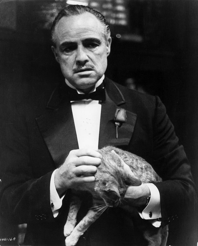 Marlon Brando holding a cat in a scene from the film 'The Godfather', 1972. | Photo: Getty Images