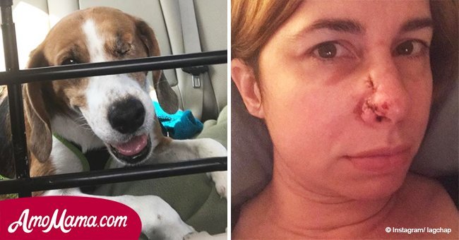Hund schnupperte an der Nase seiner Besitzerin.Als sie einen Arzt