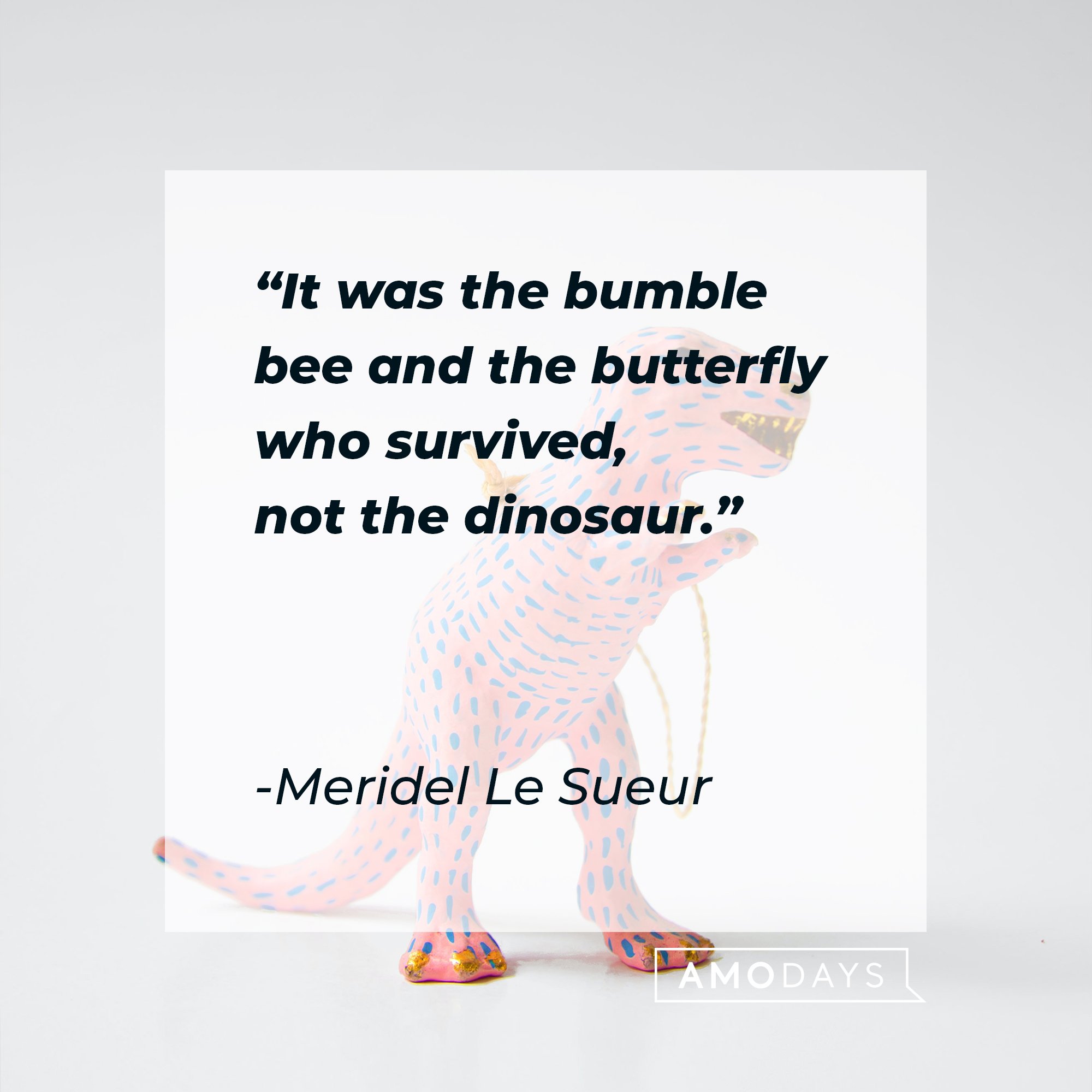 Meridel Le Sueur’s quote: "It was the bumble bee and the butterfly who survived, not the dinosaur." | Image: AmoDays
