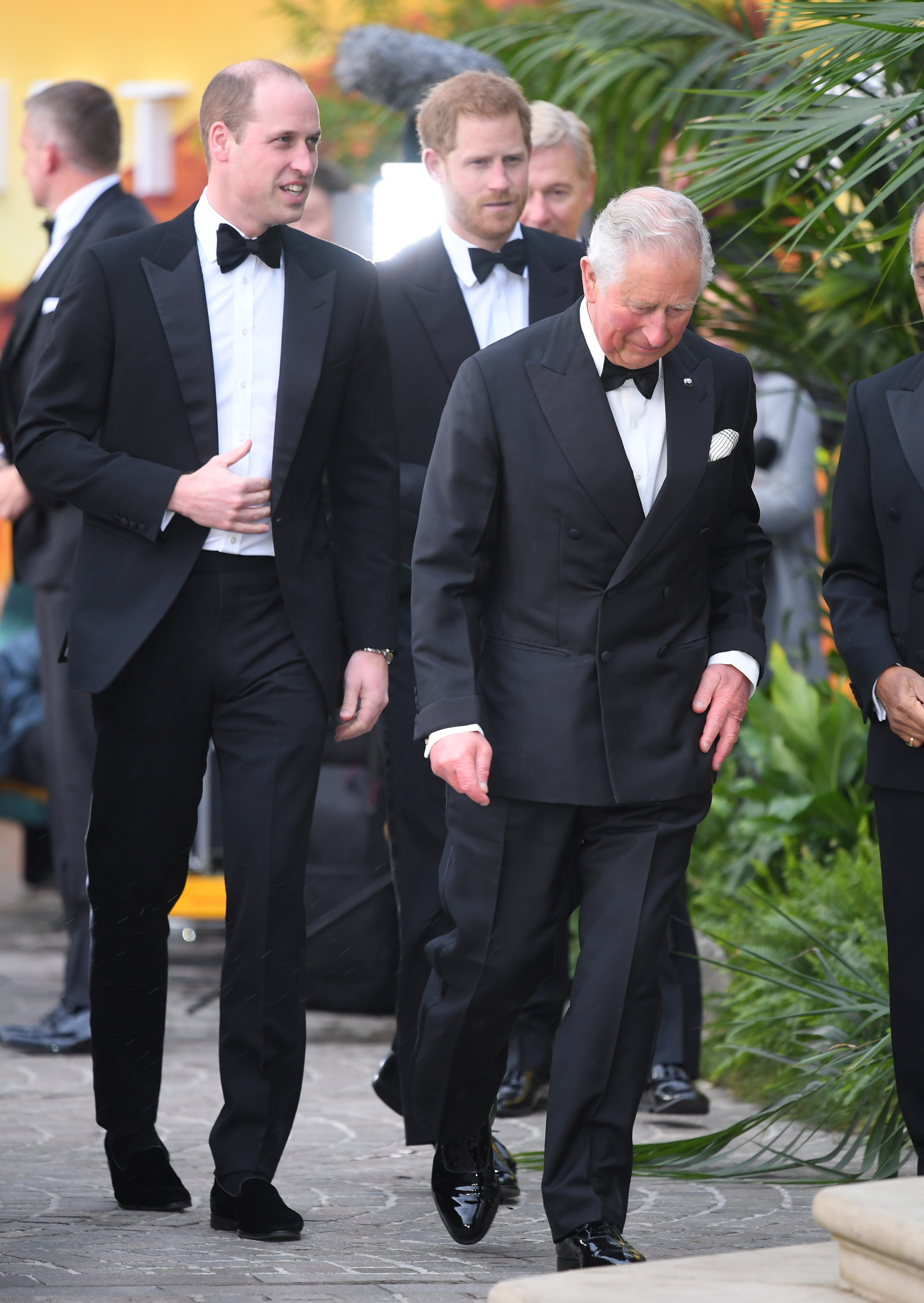 Prince William, Prince Harry, and King Charles attend the "Our Planet" global premiere on April 4, 2019 in London, England. | Source: Getty Images