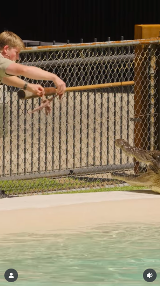 Robert Irwin dangling pieces of meat in front of a crocodile that has its mouth open. | Source: Instagram/robertirwinphotography